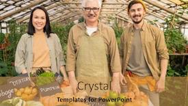  Presentation with market food - Cool new PPT layouts with portrait-of-positive-senior-farmer backdrop and a yellow colored foreground