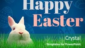  Presentation with royal blue - Presentation design consisting of portrait of rabbit against royal background and a  colored foreground