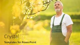  Presentation with senior care - Cool new PPT theme with portrait-of-senior-man-gardening backdrop and a yellow colored foreground
