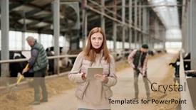  Presentation with livestock - Presentation design consisting of portrait-of-serious-female-farmer background and a coral colored foreground
