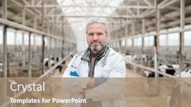  Presentation with country - Beautiful slide deck featuring portrait-of-smiling-gray-haired backdrop and a coral colored foreground