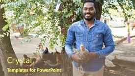  Presentation with tree farm - PPT theme enhanced with portrait-of-smiling-male-farmer background and a  colored foreground