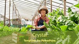  Presentation with farm - 