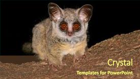 Presentation with old map south africa - Audience pleasing presentation consisting of portrait of the nocturnal lesser bushbaby galago moholi south africa backdrop and a tawny brown colored foreground
