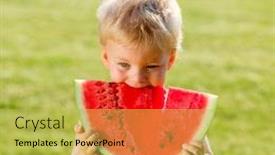  Presentation with toddler eating - PPT layouts enhanced with portrait of toddler child outdoors rural scene with one year old baby boy eating watermelon slice in the garden background and a yellow colored foreground