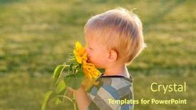  Presentation with sunflower - Audience pleasing PPT layouts consisting of portrait of toddler child outdoors rural scene with one year old baby boy looking at sunflower backdrop and a gold colored foreground