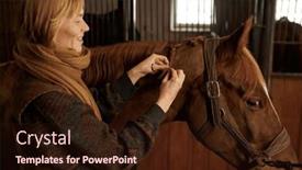  Presentation with horse riding - Presentation theme featuring portrait-of-woman-braiding-horse background and a wine colored foreground