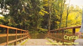  Presentation with forest bridge - Theme having way forward pathway freedom - portrait of woman standing background and a tawny brown colored foreground