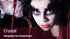  Presentation with shaman - PPT theme with downy chick south polar skua among the rocks of the antarctic islands note visible grain at 100 best at smaller sizes background and a gray colored foreground