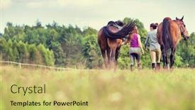  Presentation with horses - Amazing presentation having portrait-of-women-walking backdrop and a yellow colored foreground
