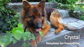  Presentation with german - Audience pleasing slide deck consisting of  backdrop and a  colored foreground.