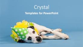  Presentation with chains - 