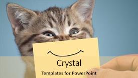  Presentation with fun and smile - Colorful slide deck enhanced with portrait with funny happy smile backdrop and a blonde colored foreground