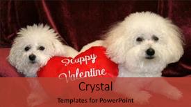  Presentation with valentine - Beautiful slides featuring portrate - fifi and beau both bichon backdrop and a  colored foreground