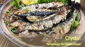  Presentation with sardines - Theme consisting of dog a toy terrier a stylishly dressed little dog in a sweater and a sheepskin coat against the backdrop of late autumn clothes for dogs background and a gray colored foreground