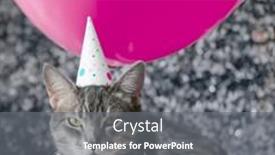  Presentation with cat party - Presentation theme enhanced with posh-cat-party-event-balloons background and a gray colored foreground