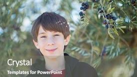  Presentation with olive trees garden mediterranean olive - Slide deck having posing in olive trees garden background and a gray colored foreground