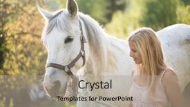  Presentation with white horse - Slide set consisting of posing outdoor with white horse background and a mint green colored foreground