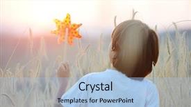  Presentation with wheat - Colorful slide deck enhanced with attactive - new york city historic district backdrop and a light gray colored foreground