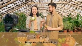  Presentation with cauliflower - Slide deck with positive-young-couple-of-farmers background and a gold colored foreground