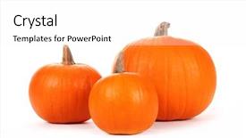  Presentation with white relativity theory - Audience pleasing theme consisting of post harvest - pumpkins on white background backdrop and a white colored foreground
