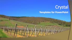 Presentation with winery - PPT theme enhanced with post harvest - winery in alsace near strasbourg background and a cobalt blue colored foreground