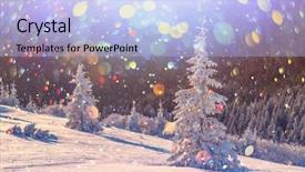  Presentation with trees - Audience pleasing slide deck consisting of postprocessing effect christmas holiday collage backdrop and a  colored foreground