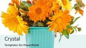  Presentation with calendula - Beautiful slide set featuring pot - beautiful bouquet of flower calendula backdrop and a seafoam green colored foreground