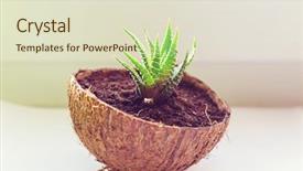  Presentation with home design - Amazing slides having pot adorable home creative design backdrop and a soft green colored foreground