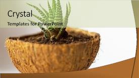  Presentation with home design - PPT layouts with pot adorable home creative design background and a soft green colored foreground