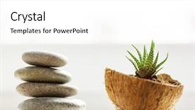  Presentation with home design - Presentation theme having pot adorable home creative design background and a white colored foreground