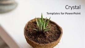  Presentation with home design - Cool new slide deck with pot adorable home creative design backdrop and a white colored foreground