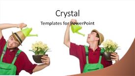  Presentation with narcissus - Amazing slide set having pot isolated on white backdrop and a cream colored foreground