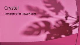  Presentation with pink green - Amazing slides having pot leaf - top view composition with shadows backdrop and a coral colored foreground