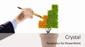  Presentation with human fossils - Presentation design having pot money - close up image of human background and a light gray colored foreground