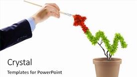  Presentation with human - Amazing PPT theme having pot money - close up image of human backdrop and a white colored foreground