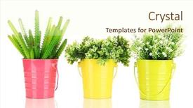  Presentation with plants - Colorful presentation theme enhanced with pot plants - decorative flowers isolated on white backdrop and a cream colored foreground