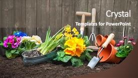  Presentation with dirt - Slide set consisting of pot with dirt or soil background and a gray colored foreground