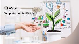  Presentation with money tree - PPT layouts having pot with money tree background and a white colored foreground