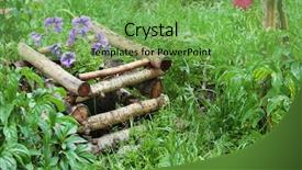  Presentation with plant - PPT layouts enhanced with pot with plant in wooden background and a seafoam green colored foreground