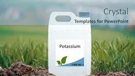  Presentation with plant disease - PPT theme with potassium-an-essential-nutrient background and a light blue colored foreground