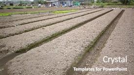  Presentation with candy land - Slide deck enhanced with potato crop plantation - cultivated land background and a gray colored foreground