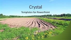  Presentation with field - Presentation with potato crop plantation - plow field background and a  colored foreground