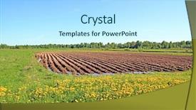  Presentation with field - Cool new presentation with potato crop plantation - plow field backdrop and a  colored foreground