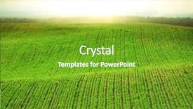  Presentation with spring - Slides enhanced with potato farm - morning at spring field background and a tawny brown colored foreground