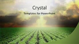  Presentation with blue sky - Cool new presentation design with potato field under blue sky backdrop and a soft green colored foreground