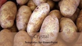  Presentation with potato - Presentation design enhanced with potato-fresh-potatoes-potatoes background and a coral colored foreground