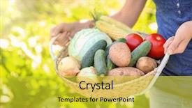  Presentation with lettuce in the vegetable garden - Presentation theme with potato plantation - young woman holding basket background and a yellow colored foreground