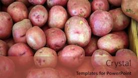  Presentation with market food - Presentation design featuring potato-red-potato-fresh-picked background and a red colored foreground