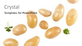  Presentation with flat - Beautiful presentation design featuring potatoes and parsley isolated over white background with copy space for your text top view flat lay pattern potatoes in air without shadow backdrop and a white colored foreground
